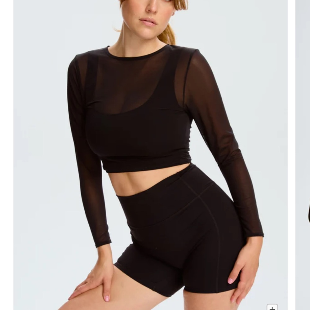 Blush Mesh Long Sleeve Crop Top
